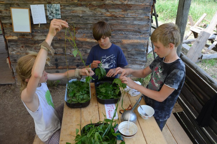 Fotka 154 z 190