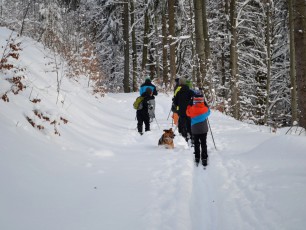 Běžkovací výprava