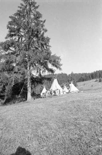 Fotka 89 z 146