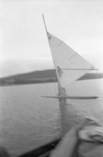 Fotka 37 z 131