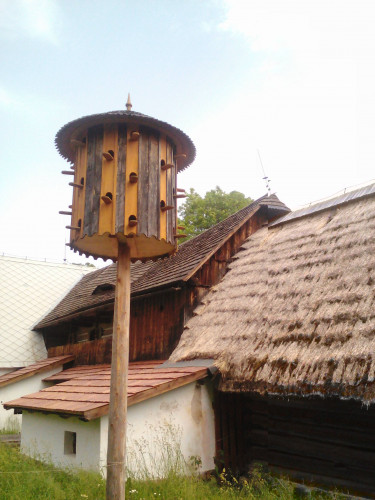 Fotka 16 z 16