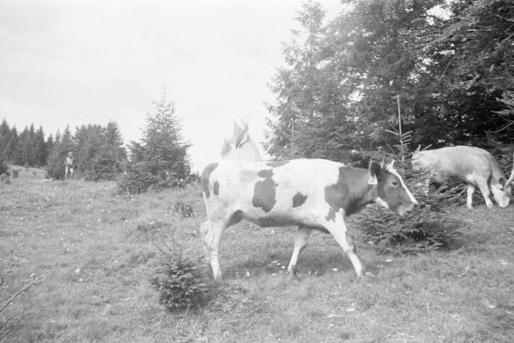 Fotka 116 z 292