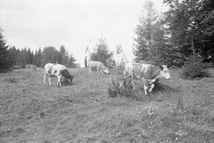 Fotka 117 z 292
