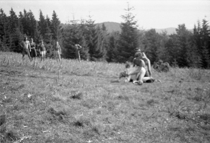 Fotka 182 z 292