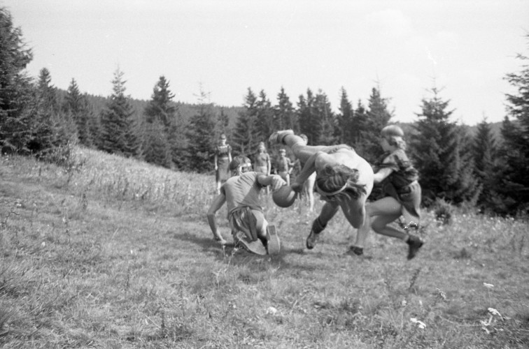 Fotka 186 z 292