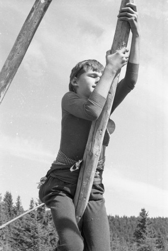 Fotka 292 z 292