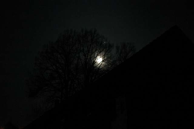 Fotka 42 z 61