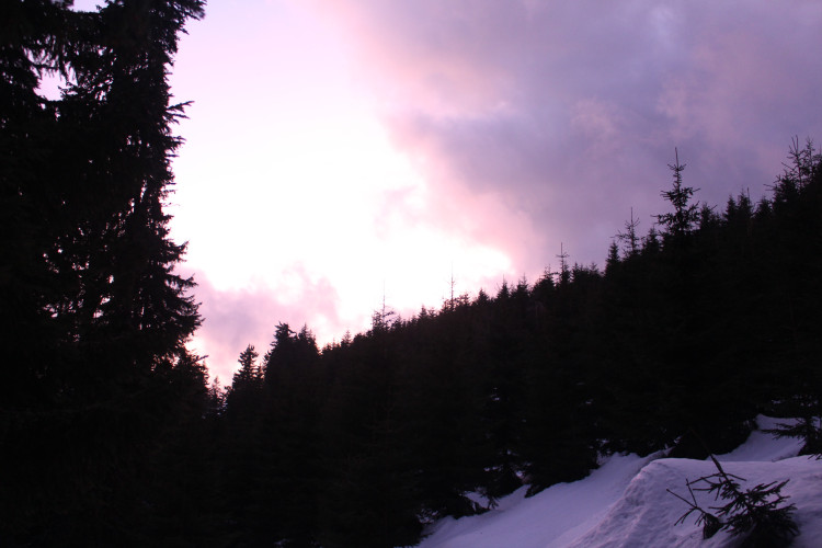 Fotka 17 z 146