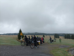Cyklorobinsonáda