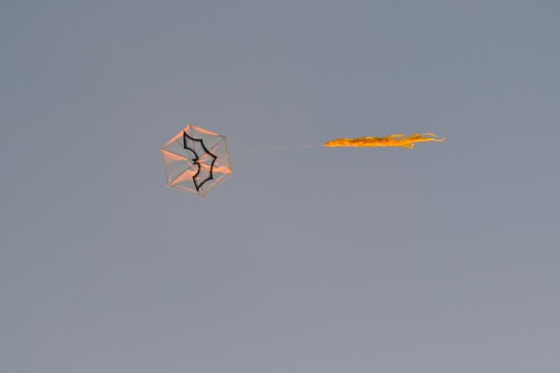 Fotka 36 z 63