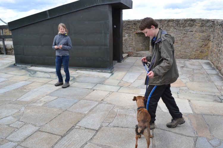 Fotka 19 z 31