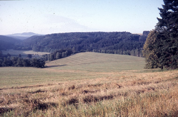 Fotka 77 z 108