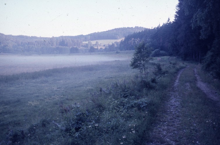 Fotka 83 z 108