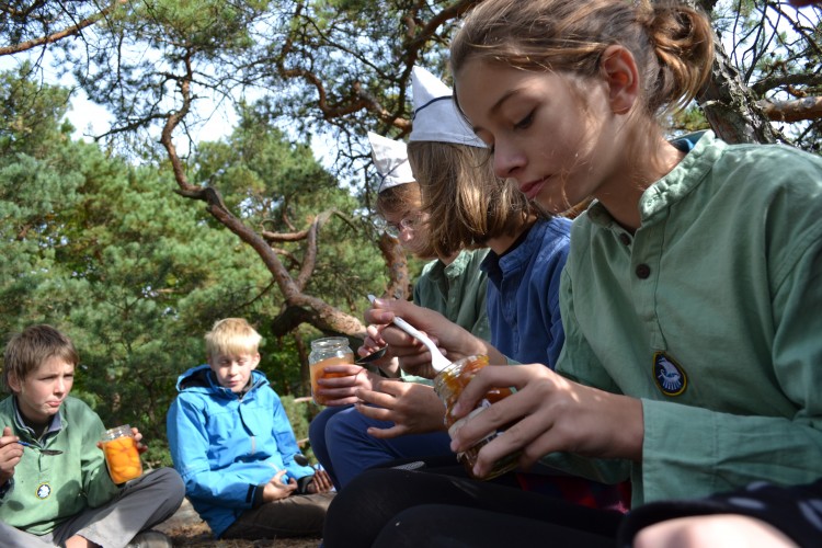 Fotka 27 z 54